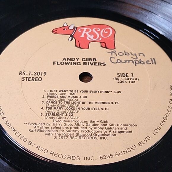 Andy Gibb Flowing Rivers Vinyl Record - Picture 9 of 11